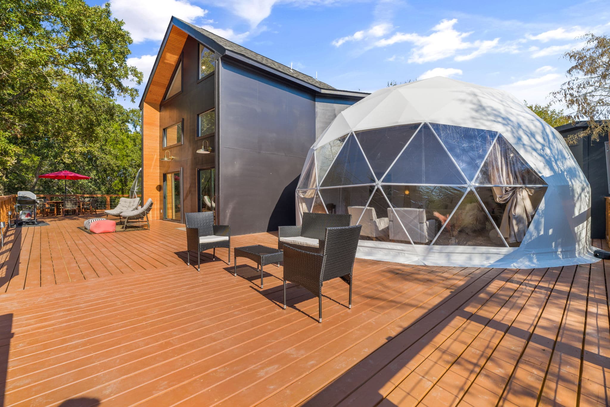 The Bird House geodome in the trees